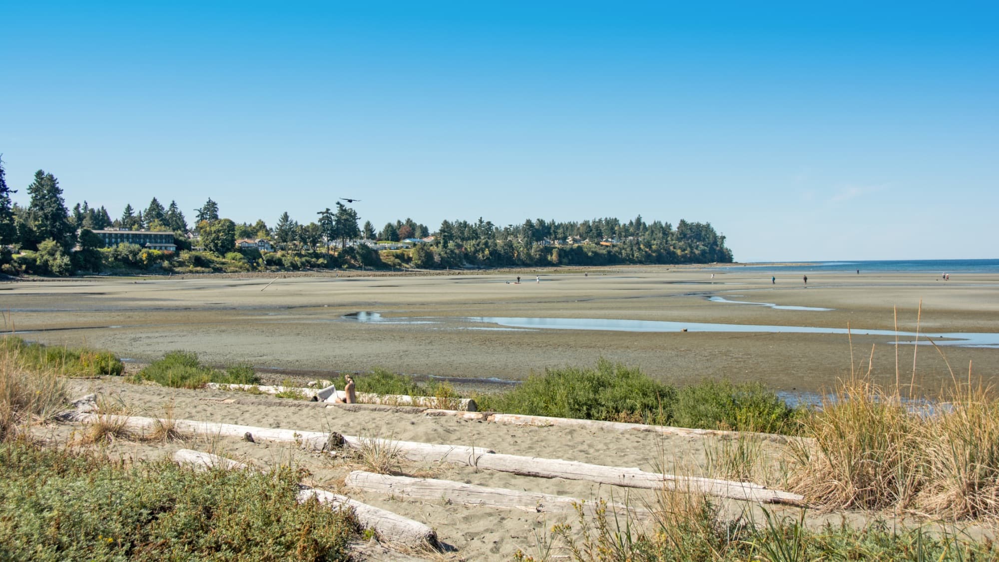 Parksville coastal landscape
