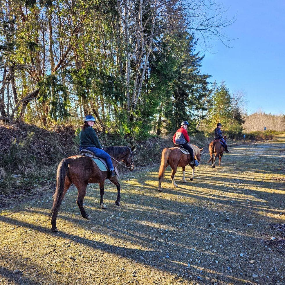 Paradise Acres Ranch logo