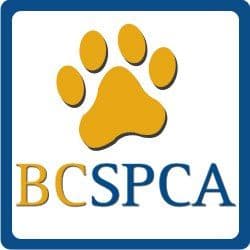 BC SPCA logo
